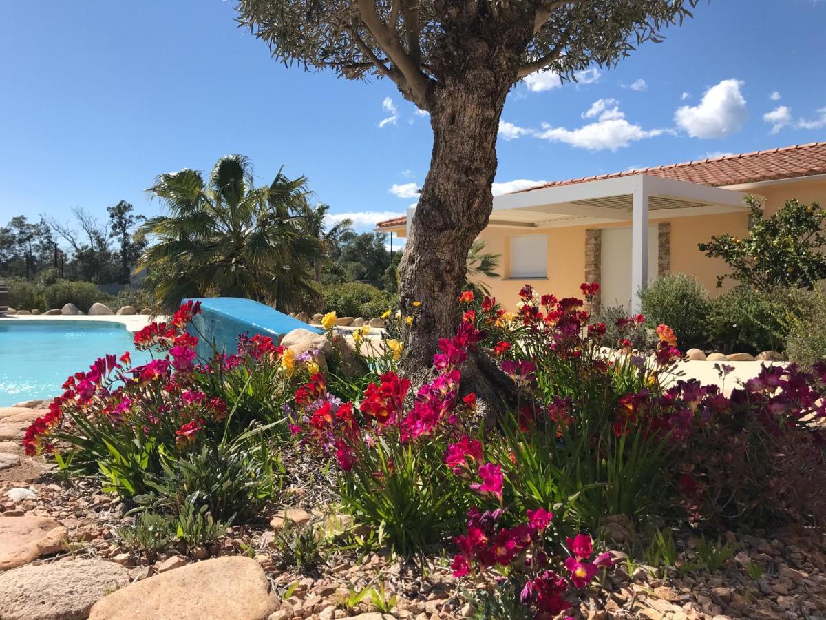L'Hacienda Piscine Chauffee A 28, Spa, Boulodrome Et Court De Tennis Prives, 2 Villas Independantes Porto-Vecchio  Bagian luar foto